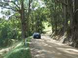 Under the gums. Full image = 78Kb.