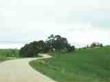 Typical early road. Full image = 17Kb.