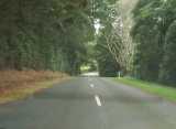 Highway southeast of Mirboo North. The full image is 41Kb.