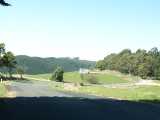 Highway southeast of Mirboo North. The full image is 33Kb.