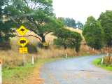 Signs of wildlife. The full image is 54Kb.