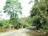 Central Road. The full image is 109Kb.