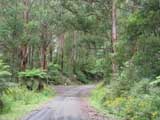 Toora-Gunyah Road turnoff. The full image is 39Kb.
