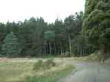 Bend past Ryton Jn. Full image is 50Kb.