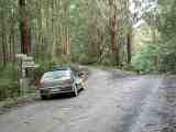 Yarram-Madalya Road turnoff. The full image is 110Kb.