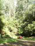 Picnic bend. The full image is 62Kb.