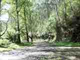Road from picnic bend. The full image is 69Kb.