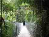 Suspension bridge, TBNP. Full image 63Kb.