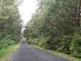 Scenery. The full image is 48Kb.